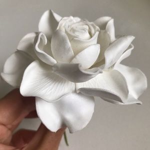 🔥SOLD 🔥⬇️PRICE DROP🔥Hawaii Gardenia accessory